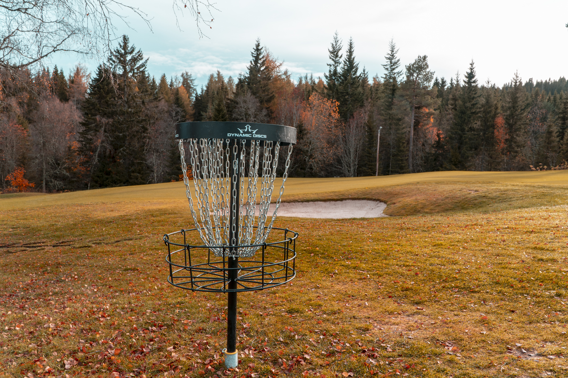 Testing av diskgolf på Sommersetra